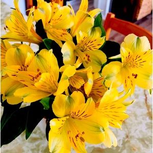 SPRING is Around the Corner!!! 💐 .. Make an OFFER ✅